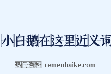 小白鹅在这里近义词是什么意思的图片
